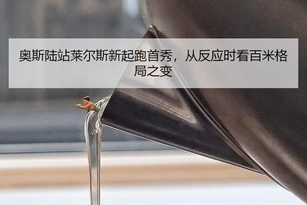 ao-si-lu-zhan-lai-er-si-xin-qi-pao-shou-xiu-cong-fan-ying-shi-kan-bai-mi-ge-ju-zhi-bian-2-853.jpg